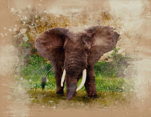 Olifant aan de oever in waterverf