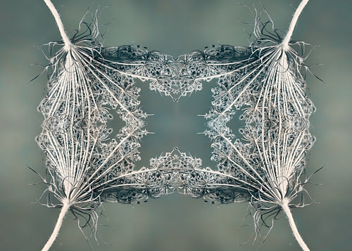 Botanische Symmetrie – Digitale Fotokunst met een hartje van ArtWorks Saranda in t Veld