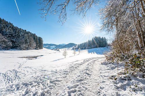 Prachtig winteruitzicht op de Hochgrat en de Allgäuer bergen bij Oberstaufen