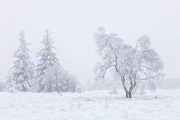 Winterse Sereniteit van Cor de Bruijn Photography