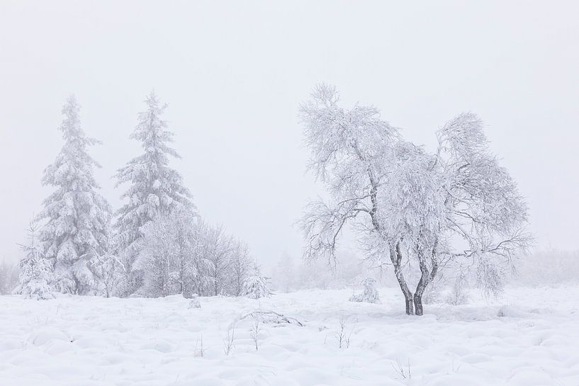 Winter Serenity by Cor de Bruijn Photography