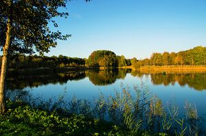 Spiegeling in water