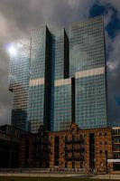 The Rotterdam