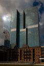 De Rotterdam en Pakhuis Meesteren op de Kop van Zuid van RoffaPics thumbnail