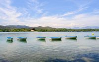 Der spanische See von Banyoles