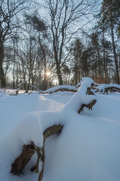Magical winter landscape by Moetwil en van Dijk - Fotografie