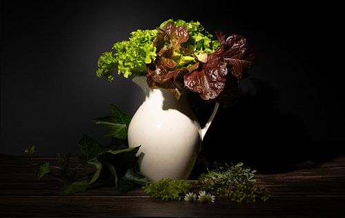 Still life tricolori lettuce