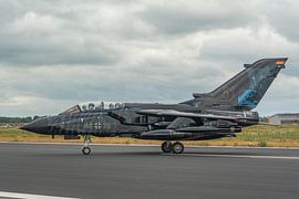 Tiger Tiger!!! Schöner Panavia Tornado der deutschen Luftwaffe während des Spottertages auf dem deut von Jaap van den Berg
