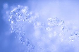 Ultramacro fotografie sneeuw van Prisca van Dorrestein