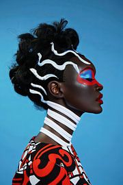 Strong colours - stylish presentation in red, blue and black by Poster Art Shop