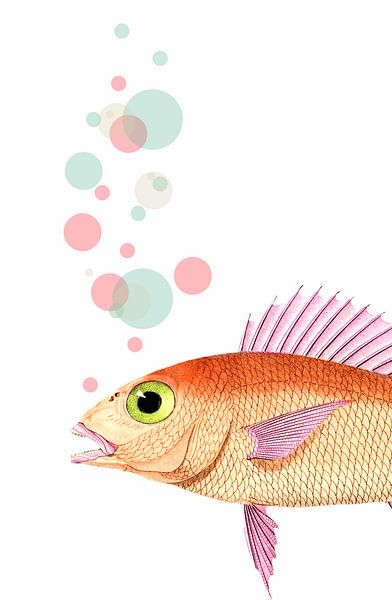 Something Fishy by Marja van den Hurk