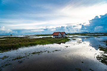 Vishuizen in het Songkhla meer van Barbara Riedel