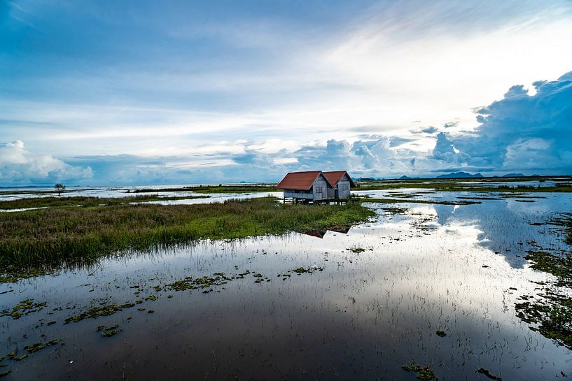 Houses at Songkhla Lake by Barbara Riedel