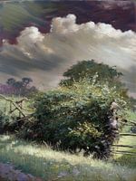 Le ciel de Zeeland est magnifique.