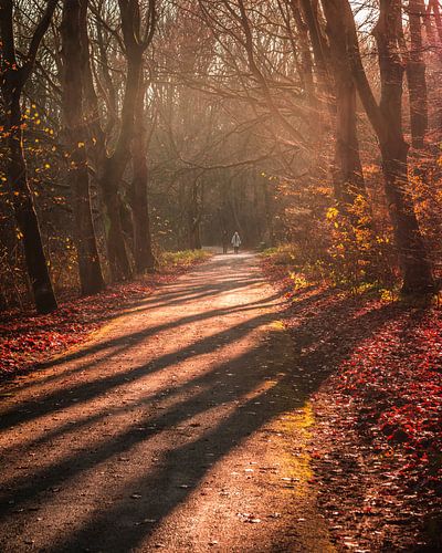 Winterglow Rotterdam 3