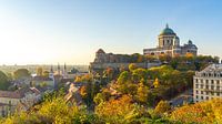 Uitzicht op het kastele en de basiliek in Esztergom, Hongarije van Jessica Lokker thumbnail
