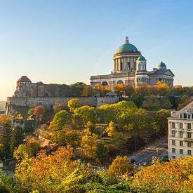 Blick auf die Burg und die Basilika in Esztergom, Ungarn von Jessica Lokker