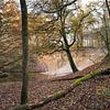 Herbstlandschaft mit schlängelndem Strom im Wald von Ger Beekes