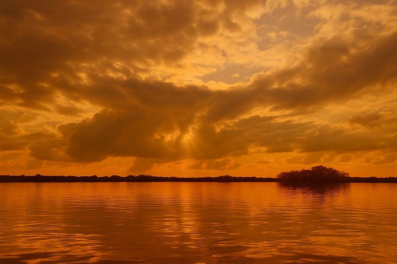 Golden Sky over Water by Studio Juna