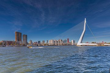 Erasmusbrücke Rotterdam von Angelique Niehorster