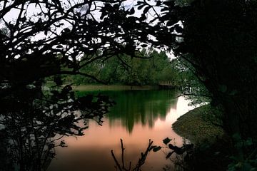 Roze onder groen van Made by Martin