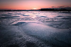 Winter in the Biesbosch by Eddy Westdijk