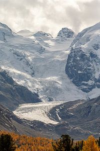 Blick auf den Morteratschgletscher in der Schweiz