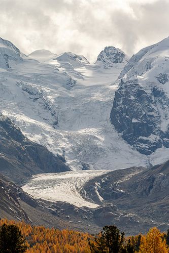View of the Morteratsch glacier in Switzerland