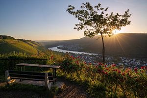 Winningen, Mosel, Deutschland
