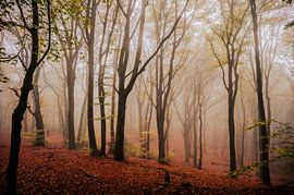 Nachlass Duno Teil 32 von Tania Perneel