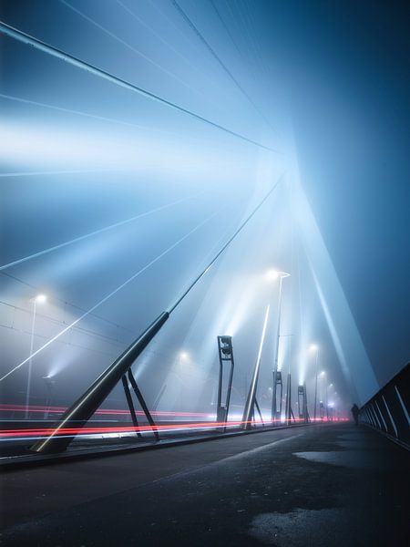 Veiled Swan van Niels Dam