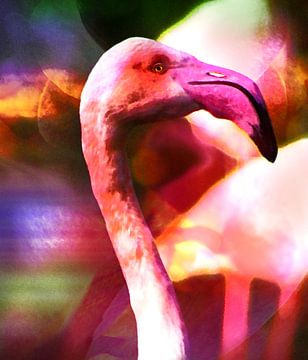 Flamed flamingo van Studio Mirabelle