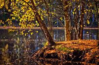 Herbstleuchten | Herfstverlichting