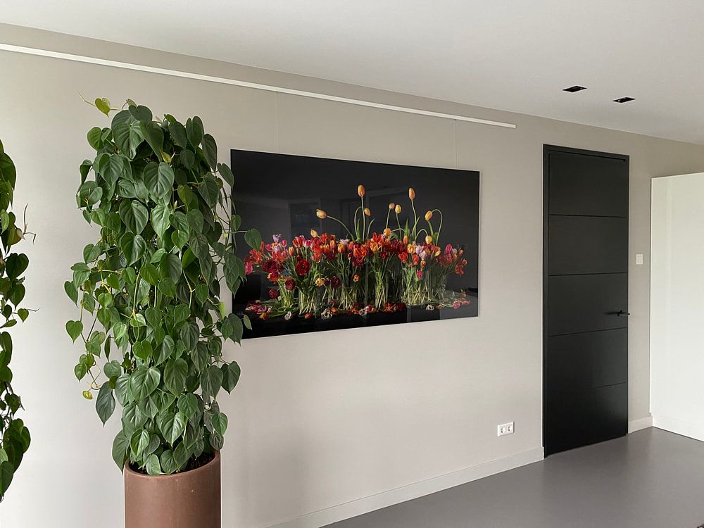 Tulipes des Pays-Bas par Dirk Verwoerd