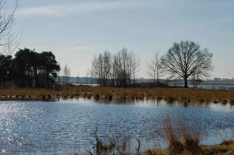 Une journée d'hiver ensoleillée au bord de l'eau par Ans Bastiaanssen