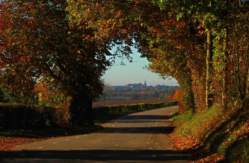 Herbst in Limburg von Marlies Prieckaerts