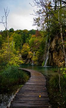 View into Plitvice Lakes National Park by Claudia Esveldt