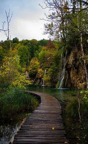 View into Plitvice Lakes National Park by Claudia Esveldt
