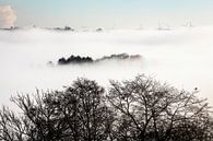 Nebel über Süd-Limburg von Rob Boon Miniaturansicht