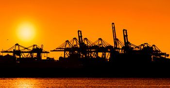 Zonsondergang in de haven