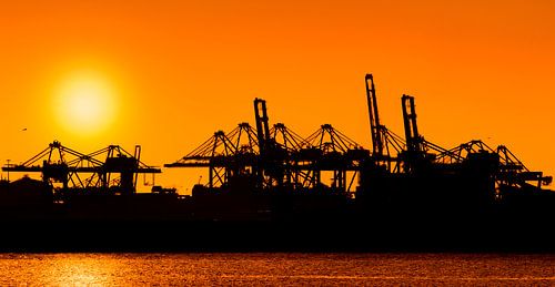 Zonsondergang in de haven