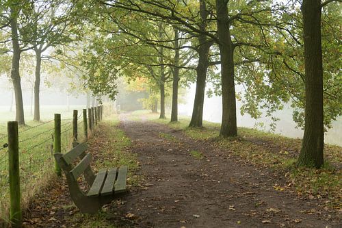 Herfstochtend langs de Kromme Rijn