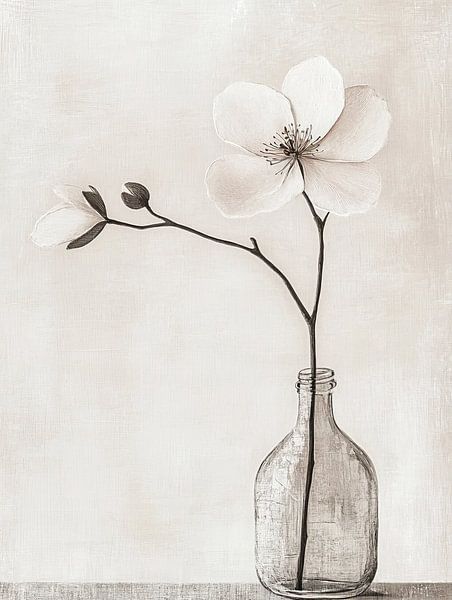 Blossom by Zen and More