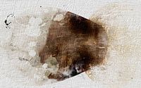 Modern Scandinavian Nature Abstraction by Mad Dog Art thumbnail