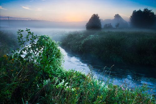 De dageraad begint, het blauwachtige water van de rivier naast de bloeiende struiken, over het lands