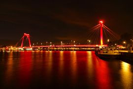 "Red William by night. by Capture the Moment 010