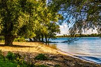 Tongplaat beach - Dordtse Biesbosch