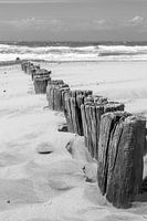 Walcheren