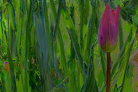 Zeitgenössische Kunst : Einzelne Tulpe im grünen Meer von Photoart-Naegele