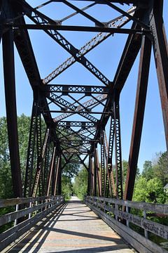 Der Radweg im Sommer